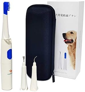 Amazon Co Jp 犬 歯ブラシ