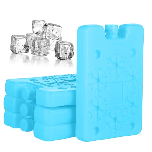 Totority 4個 再利用可能アイスパック 厚手素材製 クーラーバッグ用保冷剤 ランチボックス クーラー エアコン扇対応 冷却持続 食品輸送にも