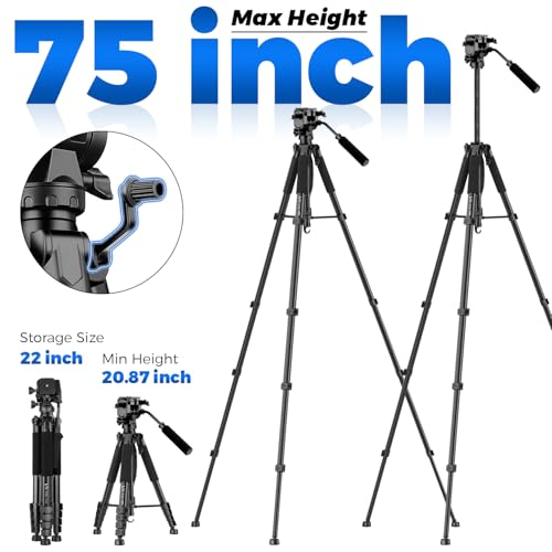 Image of Camera Tripod, 75 inch Heavy Duty Tripod for Camera with Phone Holder and Travel Bag, Compatible with Video Camera, DSLR, Spotting Scopes, Camcorder, GoPro, Cell Phone, Max Load 16LB (Black)