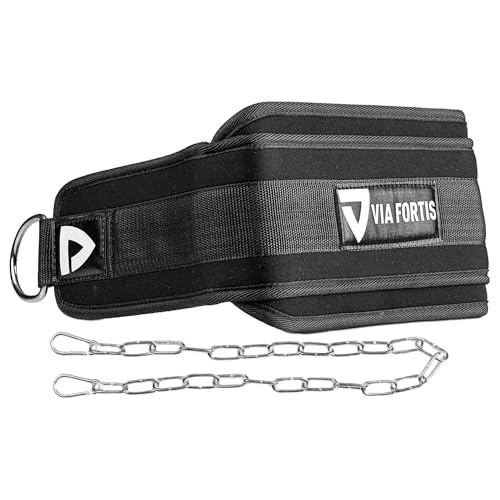 VIA FORTIS - Ceinture de Musculation Lestée avec Chaine - Pour Calisthenics, Street Workout, Bodybuilding, Dips, Tractions, Poids, Squats - Accessoire de Musculation Homme Femme - Capacité 180kg