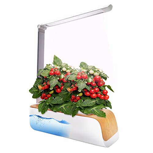 TalentBaby Hydroponics Growing System, Indoor Herb Garden with Grow Light, Mini Garden and Indoor Gardening System, Herb Garden Kit Indoor Garden Planter for Home Kitchen