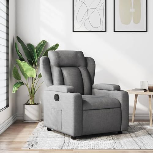 ARKEM Sillón reclinable de Tela Gris Oscuro