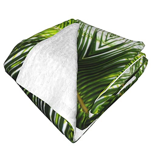 Palm Leaves Green Shades Printed Throw Blanket Super Soft Comfy Blanket 80"X60" Warm Blanket Reversible Fuzzy For Bed Sofa Couch Travel Camping #TOP2