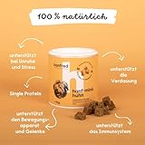Hanf Minis für kleine Hunde, Snack für Hunde in Würfelform - Getreidefrei, bessere Konzentration, Naturprodukt aus Österreich - 3 x 90g (Huhn)