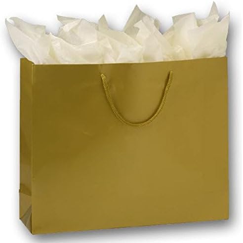 EGPChecks Retail Shopping Bag Qty 100 Size 16 x 4 3/4 x 13