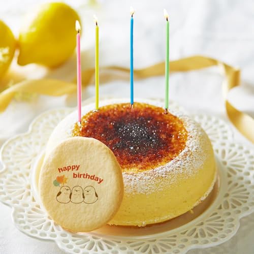 ṼXC[c Xt `[YP[L 15cm 1  a V}GiK]ӂ