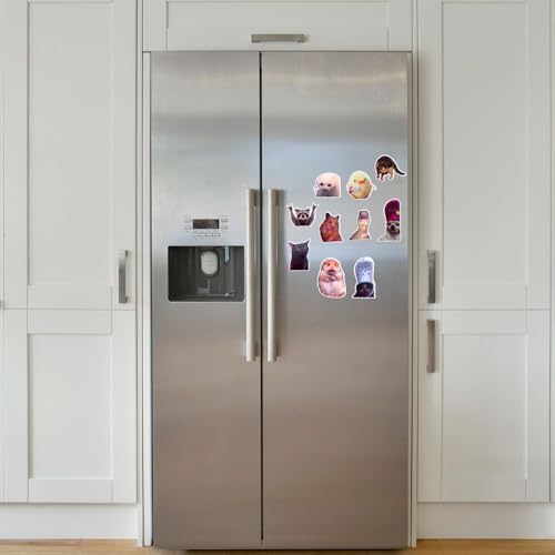 10PC Funny Meme Animals Fridge Magnets, Fun Cute Weird Magnetic Crying Cat Dog Hamster Duck Magnets for Gaming Kitchen Home Decor Bumper School Locker Work for Boys Girls Adult Accessories