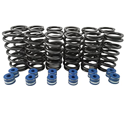 Street Sport Valve Springs & Seals for Cummins 6BT 12V 5.9L