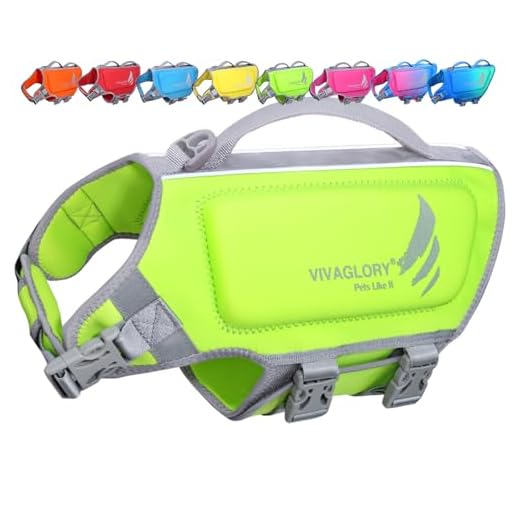 VIVAGLORY Sports Style Neoprene Dog Life Jacket Reflective Safety Vest with Superior Buoyancy and Rescue Handle for Swimming & Boating, Green, Extra Small