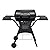 THERMOS 265 2-Burner Liquid Propane Gas Grill
