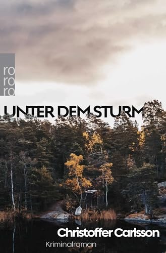 Unter dem Sturm: Kriminalroman...