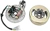 Kit de estator y volante magnético Aramox, placa de estator, cobre y aluminio, para motor de arranque por patada, moto de cross, moto de tierra, quad, ATV, kart 2