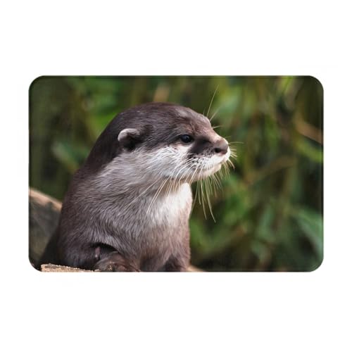 �J�[�y�b�E�� ���O�}�b�g ����~�� ���O�J�[�y�b�g ���킢�� �J���E�\ ���g�[ ���O�}�b�g ��G�� �D�����t�����l�����O �R�� �h�_�j �R�� �h�L? �x�b�g�J�[�y�b�g �z�e���̋��ԗp ���r���O���[�� 40x60cm