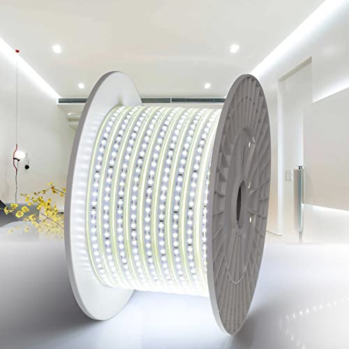 Galgreen Waterproof Led Rope Lights, 100Ft 110V High Density Bright 2835 Led Strip Lights 6500K 120 Leds/M, For Indoor Outdoor House Lighting, Garden, Corridor, Bedroom, Trees Decoration, White #TOP8