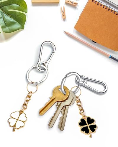 Caianwin 4 Stück Karabiner Schlüsselanhänger Metall Karabinerhaken Klein Schlüsselkarabiner für Schlüssel, Rucksäcke und Charms