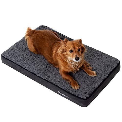 10 Best Memory Foam Insert For Dog Beds 2023 There's One Clear Winner