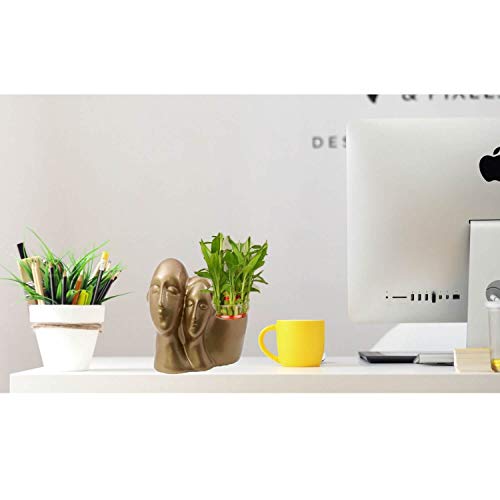 Image of Lasaki Couple Golden Ceramic Pots for Indoor Plants, Planters, Flower, Pots, gamla, Outdoor, Balcony, Home, Garden, Office Decor, Succulent Pot(L - 16 X W - 10 X H - 14.5 cm)(Plants not Included)