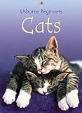 Cats (Usborne Beginners Series)