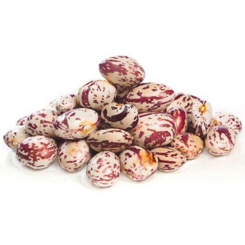 Fagioli Borlotti Italiani 25Kg BIO