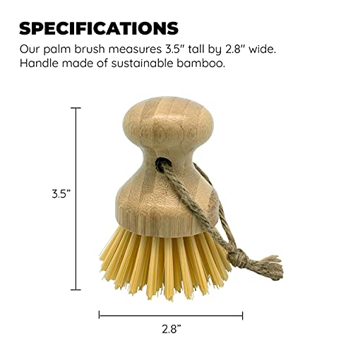 Culinary Fresh Bamboo Vegetable Palm Brush, Round Palm Scrubber For Pots, Pans: 1 Pack #TOP5