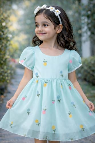 Image of Buy & Try Beautiful Embroidered Flower Dress for Baby Girls, Georgette Fabric, Puff Sleeve, Printed Outfit, Perfect Birthday Dress
