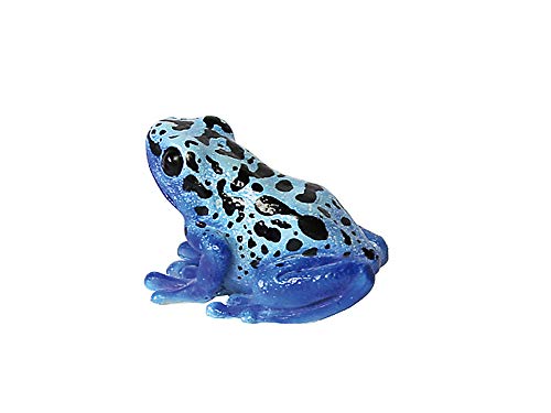 RoghNKG A JG ^ IuWF u }Olbg REPTILES MAG BLUE POISON DART FROG (v^CY }O u[ |CY_[gtbO) #2363