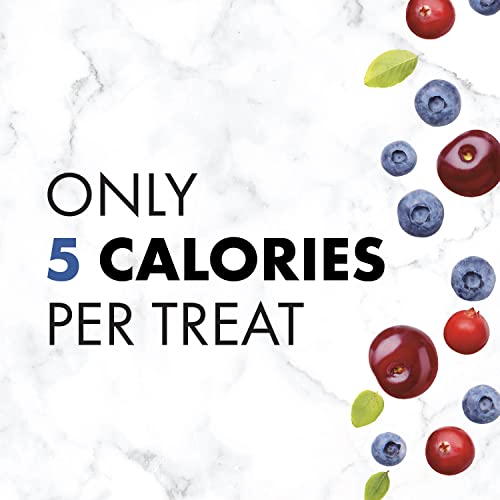 NUTRO Crunchy Dog Treats with Real Mixed Berries, 16 oz. Bag - Image 7
