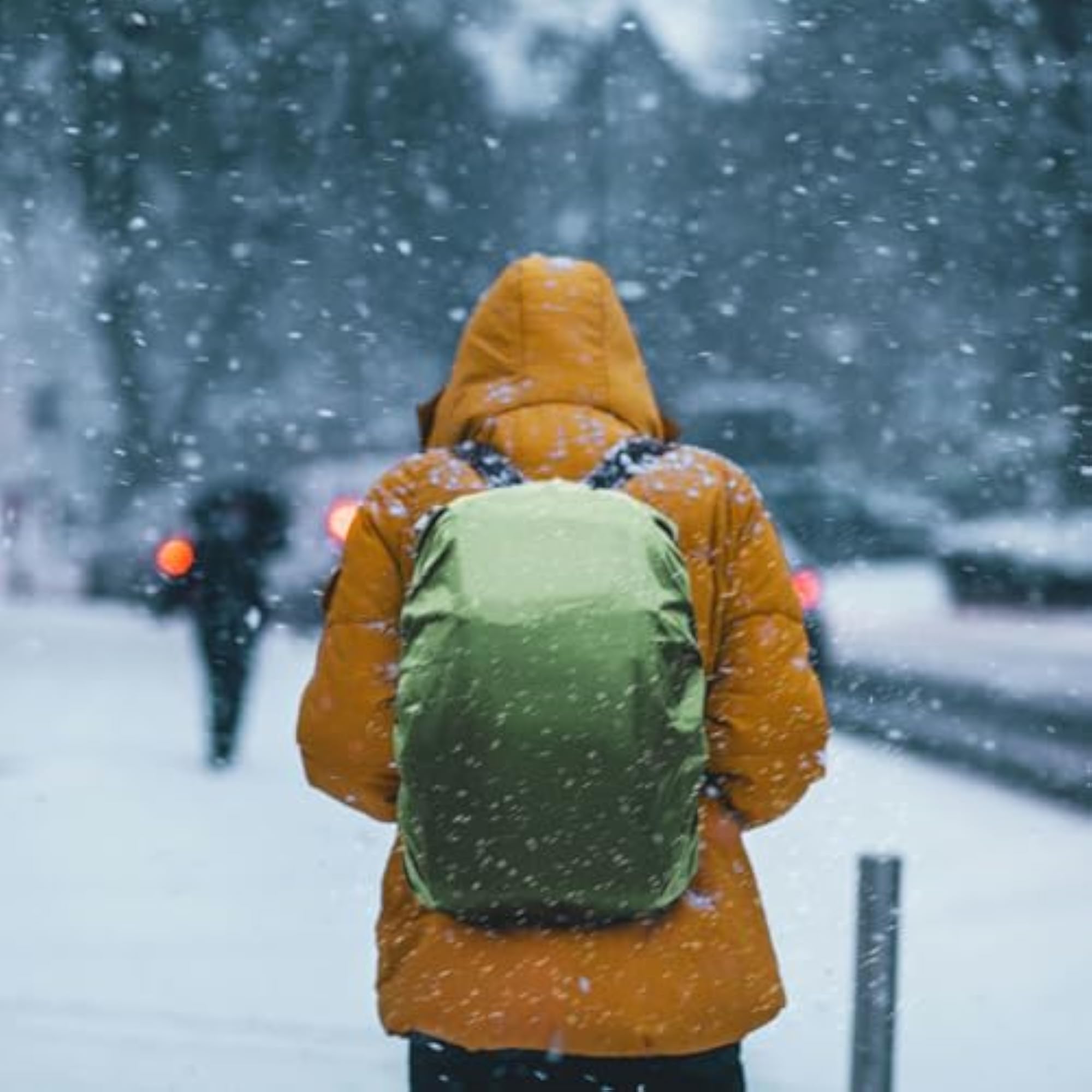 Waterproof Backpack Rain Cover, 30-100L