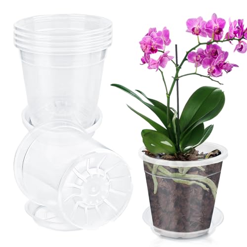 TOUYINGER 6 Stück Orchideentopf Transparent 11cm Plastik Blumentopf mit Ablaufloch Verdickt Pflanztöpfe Anzuchttöpfe Kunststoff für orchideen Sukkulenten Samen-Sämling