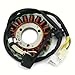 Motorcycle Generator Stator Coil Compatible With Automotive Motorcycle Parts GN250 1982 2001 TU250 1997 2016 For Part Number 32101-38302