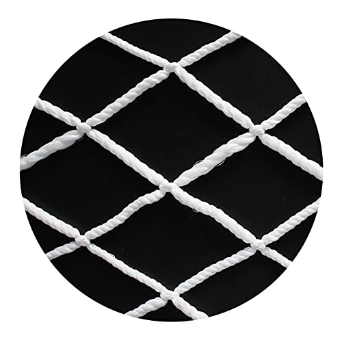 Filet de chargement araignée pour sécuriser le transport auto - 2