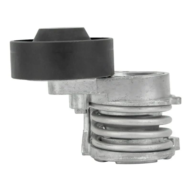 Kit tendeur de courroie BMW E46 E39 E60 X5 E53 11281748832