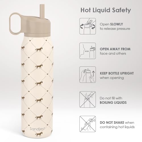 Image of Horse Stainless Steel Water Bottle with Twist Lid 20oz, Travel Insulated Water Bottles for Sports & Gym, Gift for Women Girls Friends Birthday Christmas