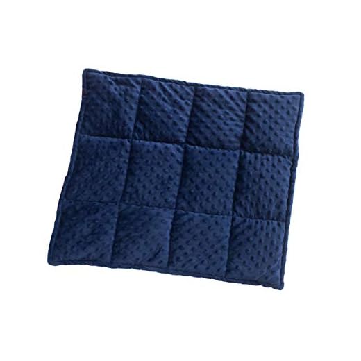 Weighted Lap Pad - 6LBS - Color and Size Variety! - Warm Sensory Lap Blanket: Perfect for Kids in School, at Home, or in The Car! - Great Gift for Parents and Seniors! (Red/Blue, 20" x 24")