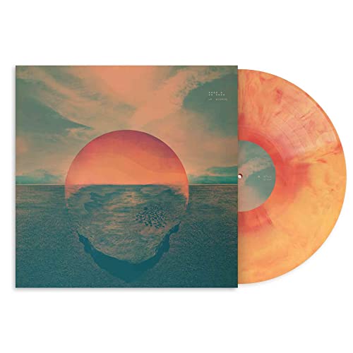 Album Art for Dive : 10th Anniversary - Orange & Red Marbled Colored Vinyl by Tycho