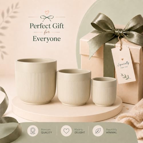 Image of Xtore Ceramic Ribbed Planter Set with Matte Finish | Modern Minimalist Flower Pots for Home, Office, Balcony & Living Room Decor - (Set of 3, Pastel Beige, Planter ONLY)