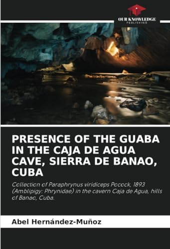 PRESENCE OF THE GUABA IN THE CAJA DE AGUA CAVE, SIERRA DE BANAO, CUBA: Collection of Paraphrynus viridiceps Pocock, 1893 (Amblipigy: Phrynidae) in the cavern Caja de Agua, hills of Banao, Cuba.