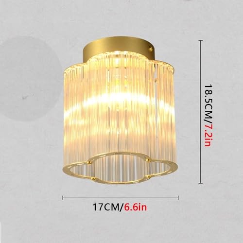 Plafón de techo E27 moderno con cristal pequeño para pasillo y entrada 8
