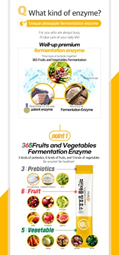 Rawel Well Up Pineapple Fermentation Digestive Enzymes (3G X 30Ea) / Digest Faster With Bromelain Of Pineapple #TOP4