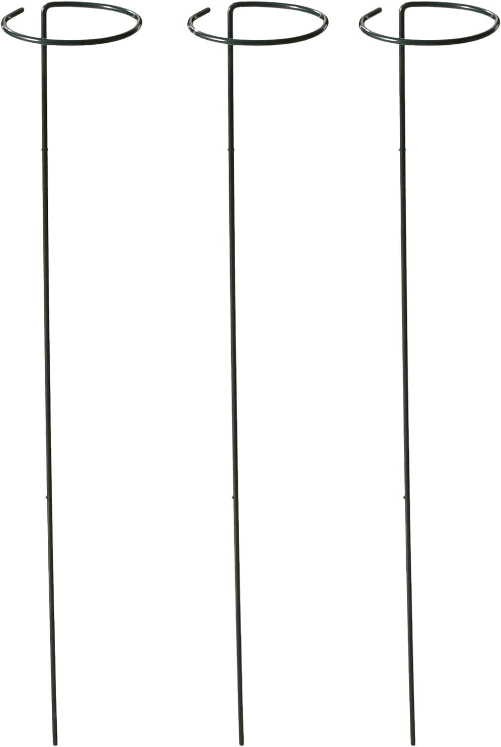 Bosmere シングルプラントステムサポート 高さ24インチ 3インチフープ付き, 36-Inch with 6-Inch Hoo