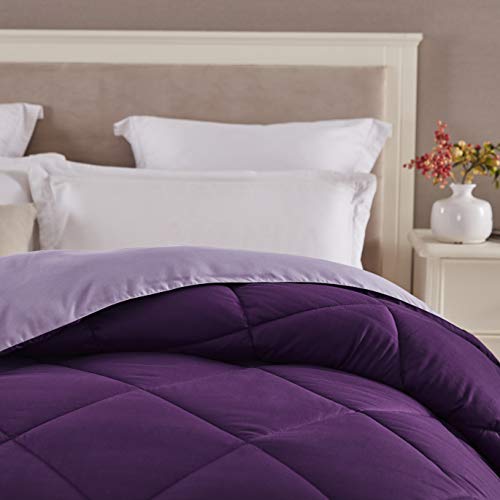 Seward Park Solid Color Reversible Comforter, Hypoallergenic Plush Microfiber Fill, Duvet Insert or Stand-Alone Spring or Summer Comforter for Dorm, Lightweight, Twin Extra Long, Plum/Purple