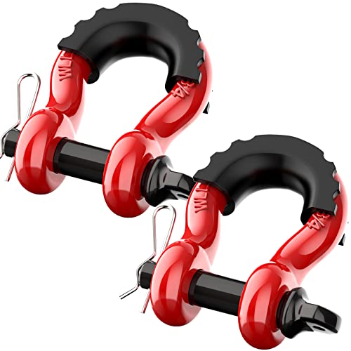 D Ring Shackles 3/4