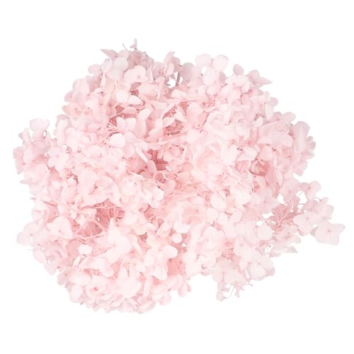 Pétalos de hortensia secos rosa claro 20g miniatura 1