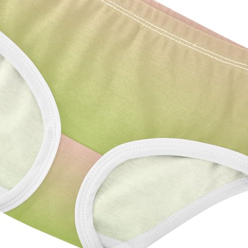 Joisal Blush Pink Green Gradient Little Girl Panties Toddler Underwear Floral Cotton Print Underpants Briefs 2t4