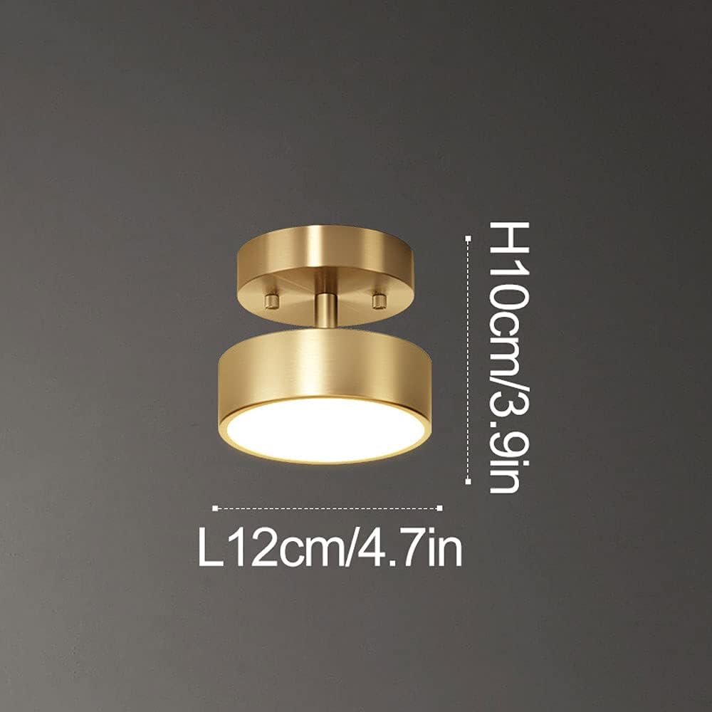 Modern Surface Mounted LED Ceiling Light Creativity Rotatable Brass Ceiling Light Close to Ceiling Light Fixture for Entrance Door Balcony Corridor Aisle Stairs