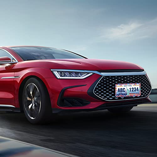 Hippie Flower License Plate Frame Stainless Steel Car Personalized Accessories Abstract Folk Floral License Plate Frame For Standard U.s. Canada Vehicles For Men Women Size: 12.2 X 6 Inches 4 Holes #TOP5