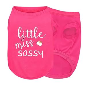 Pink Cotton Dog Shirt with Little Miss Sassy Corgi Butt Print Soft Breathable Pet Apparel for Small to Large Dogs Cute All Season OutfitM