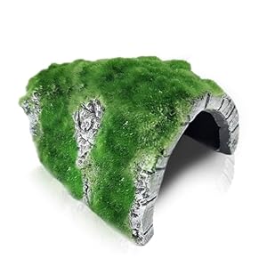 SunGrow Betta & Cichlid Fish Tank Aquarium Decoration Rocks Hideout Cave, Axolotl & Frog Resin Hideaway Tank Decor Ornaments with Moss, for Hermit Crab, Gecko, Snake, Ball Python to Breed & Rest