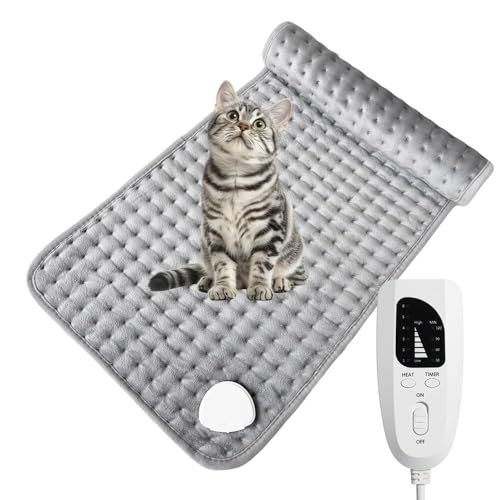 Lifetips AJV[gwA American Shorthair ybgpzbgJ[ybg Lp g x h 􂦂 ȃGl ~ ~p ybgq[^[ xbhp ` ybgpzbgJ[ybg ybgq[^[ x 