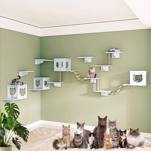 LbgEH[N ؐ Lbg^[  LbgEH[VFt _ȕǊ|Lbgt@j`[ Xy[XL ꕔ⋭ς ω׏d12kg(18pcs)